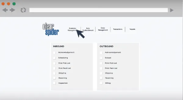 Clear Spider
