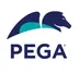 Pega Agile Studio